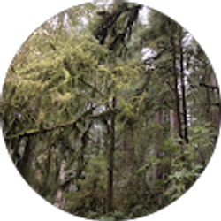 Profile photo of Chunlei Li