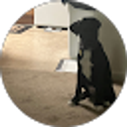 Profile photo of Sophia Doughman