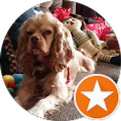 Profile photo of Wendy Howard