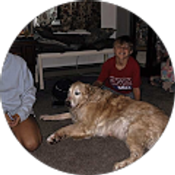 Profile photo of brenda witmer