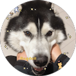 Profile photo of Xin Li