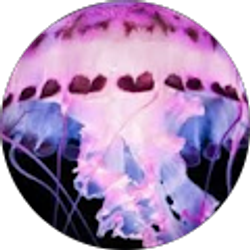 Profile photo of Jennafer Voss