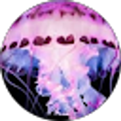Profile photo of Jennafer Voss