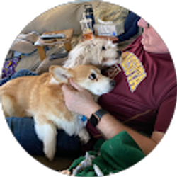 Profile photo of David Erickson