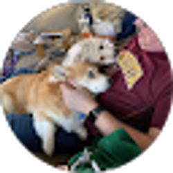 Profile photo of David Erickson