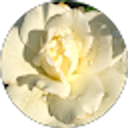 Profile photo of Debbie Brinkman