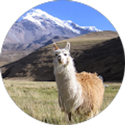 Profile photo of Luke Smith