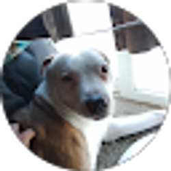 Profile photo of Haydn Starr