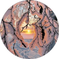 Profile photo of Ramsey Frederickson