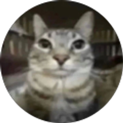 Profile photo of Amruh