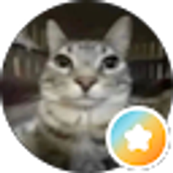 Profile photo of Amruh