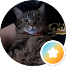 Profile photo of Sean Mahoney