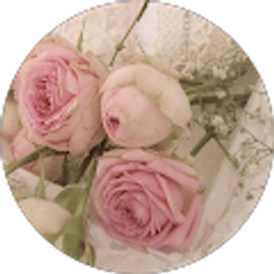 Profile photo of Fox News affiliate SRN