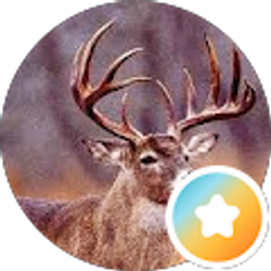 Profile photo of Chad Miller