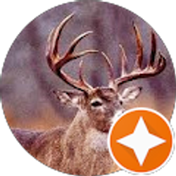 Profile photo of Chad Miller