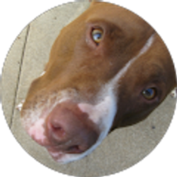 Profile photo of Ryan Hooper