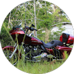 Profile photo of Linscott Tomlinson