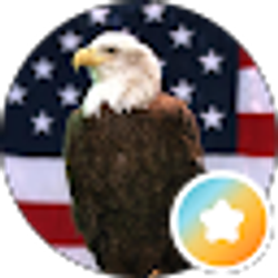Profile photo of P J