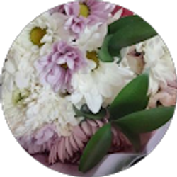 Profile photo of Marcia Dye