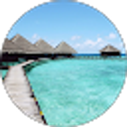 Profile photo of A Harvey