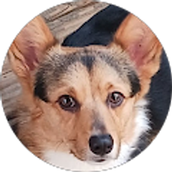 Profile photo of Clare Schoonover