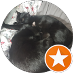 Profile photo of Randall Weddig