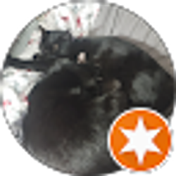 Profile photo of Randall Weddig