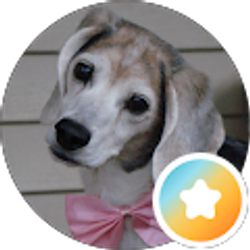 Profile photo of Debora Ray
