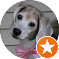 Profile photo of Debora Ray