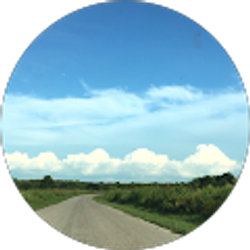 Profile photo of Teri K.