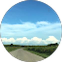 Profile photo of Teri K.