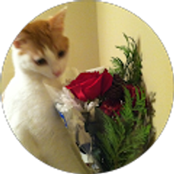 Profile photo of Laurence Min