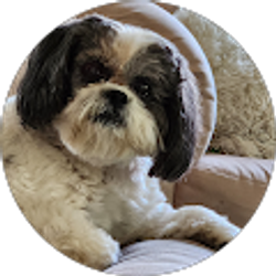 Profile photo of Margaret Shaffer