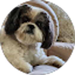 Profile photo of Margaret Shaffer