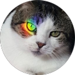 Profile photo of Kathleen Stalker