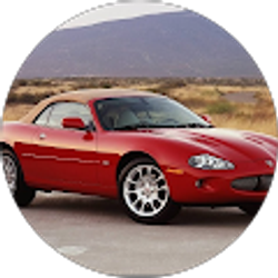 Profile photo of Craig Rous