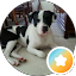 Profile photo of Spot Wms