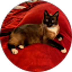 Profile photo of Lynne Forler