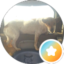 Profile photo of Paul C