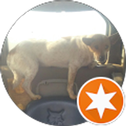 Profile photo of Paul C