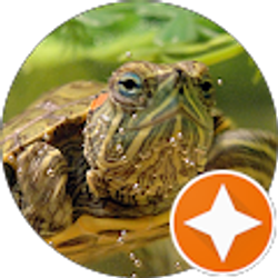 Profile photo of Eddie