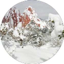 Profile photo of Mohammed Qurishi