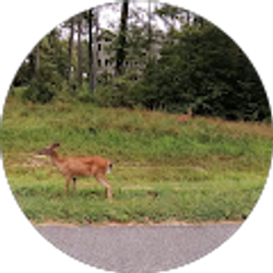 Profile photo of Tin Win