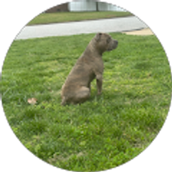 Profile photo of Jason Powell