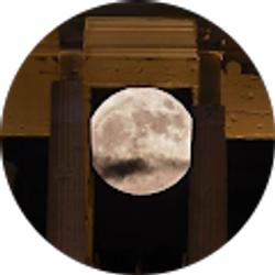 Profile photo of Captn Morgan