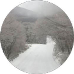 Profile photo of Hoon K