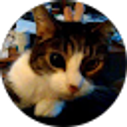 Profile photo of james l