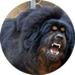 Profile photo of G 4LIFE