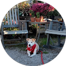 Profile photo of Ellen Atkins