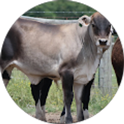 Profile photo of Grant Tune